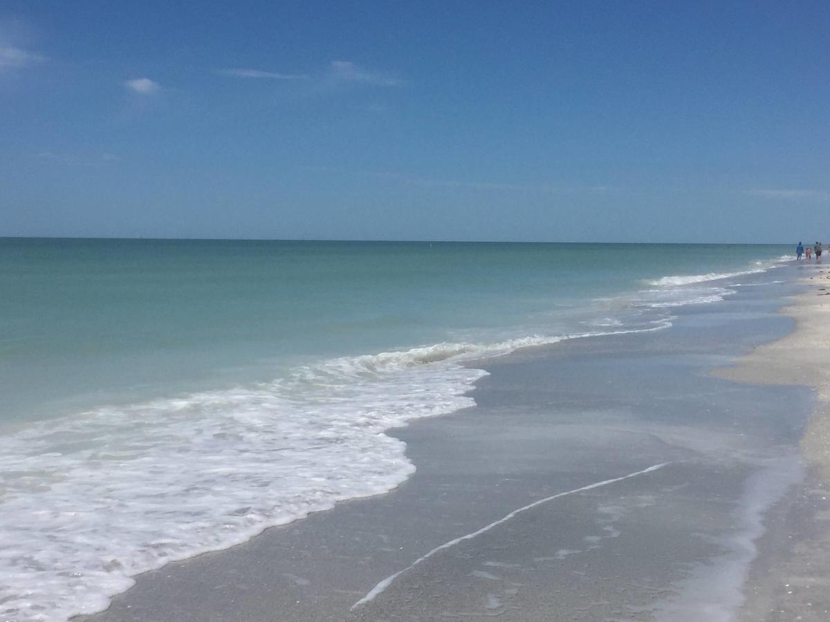 Intercoastal Beach Suite Clearwater Eksteriør billede