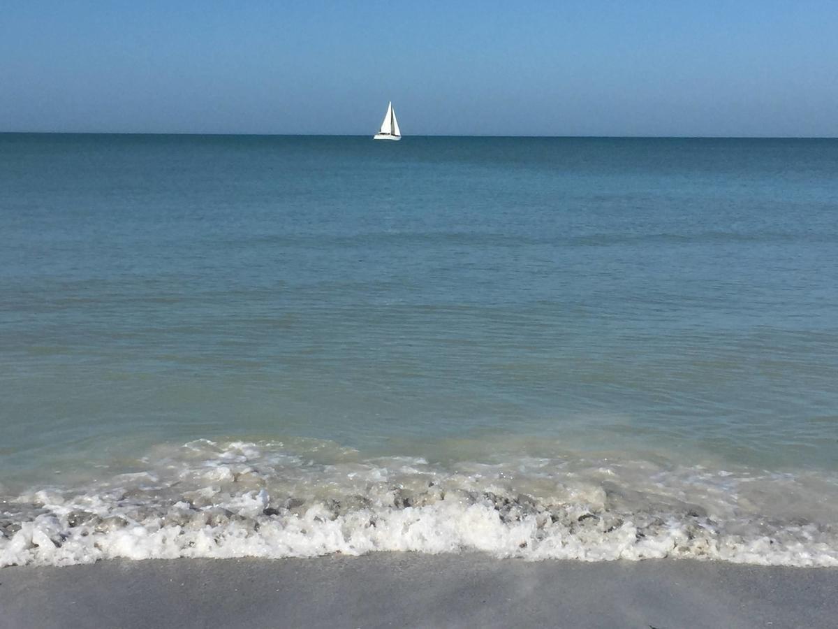 Intercoastal Beach Suite Clearwater Eksteriør billede